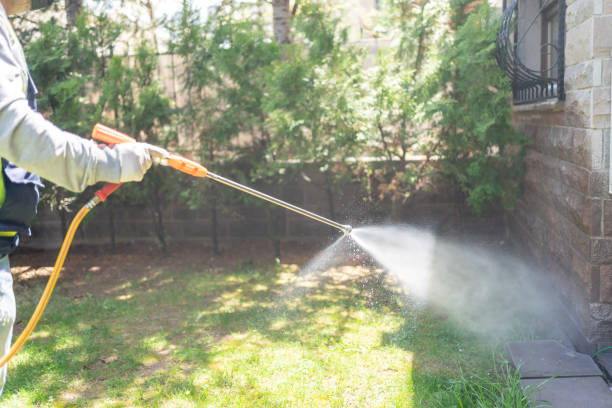 Insect Control in Shongopovi, AZ