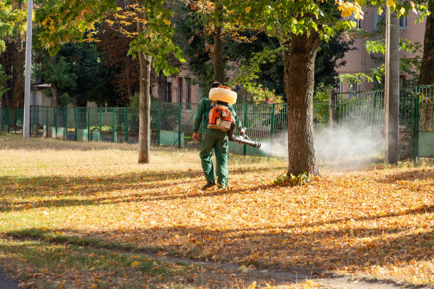 Best Commercial Pest Control Services  in Shongopovi, AZ